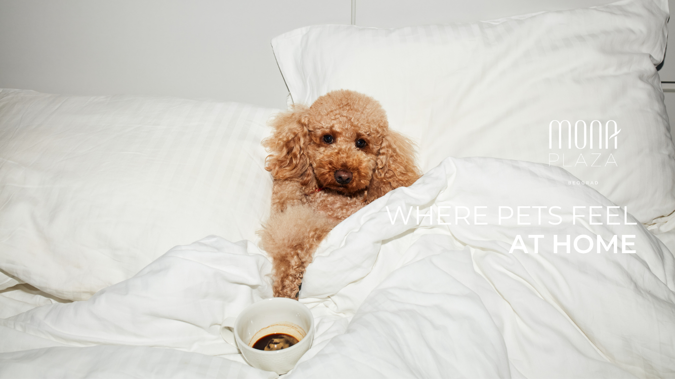 Мона Плаза 9